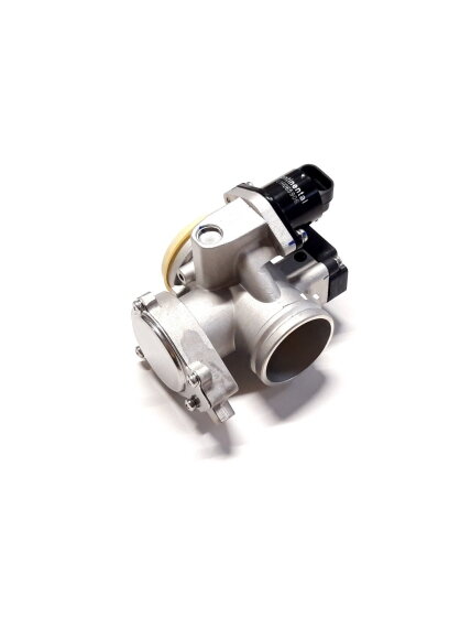 THROTTLE BODY