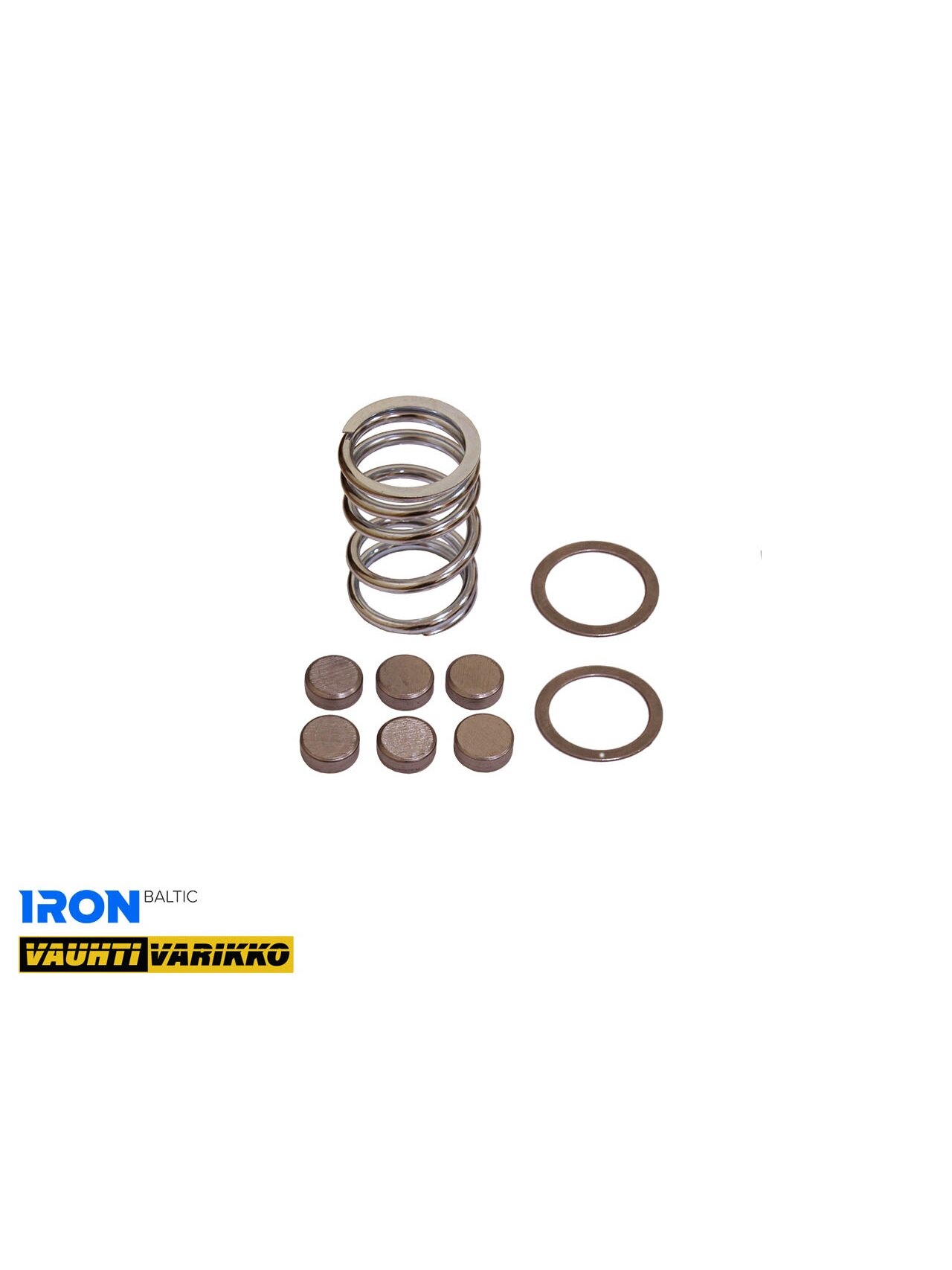 VARIATORIAUS PATOBULINIMO KOMPLEKTAS IRON BALTIC ZFORCE 1000 (STAGE 2) VARIATORIAUS PATOBULINIMO KOMPLEKTAS IRON BALTIC ZFORCE 1000 (STAGE 2)